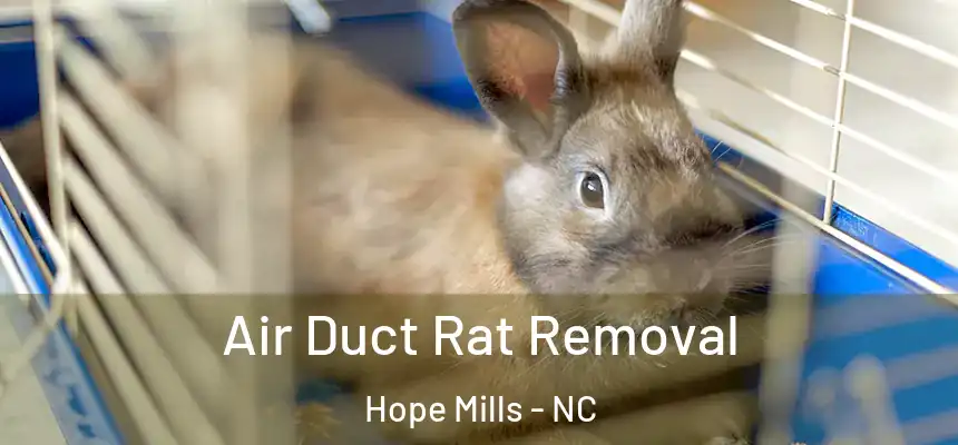 Air Duct Rat Removal Hope Mills - NC