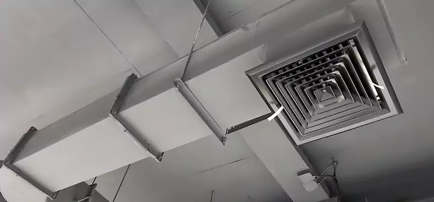 Our Pest Removal From Ducts Services in Hope Mills, NC