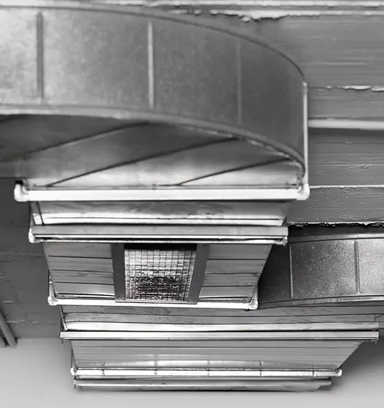 Professional Air Duct Pest Removal in Hope Mills, NC