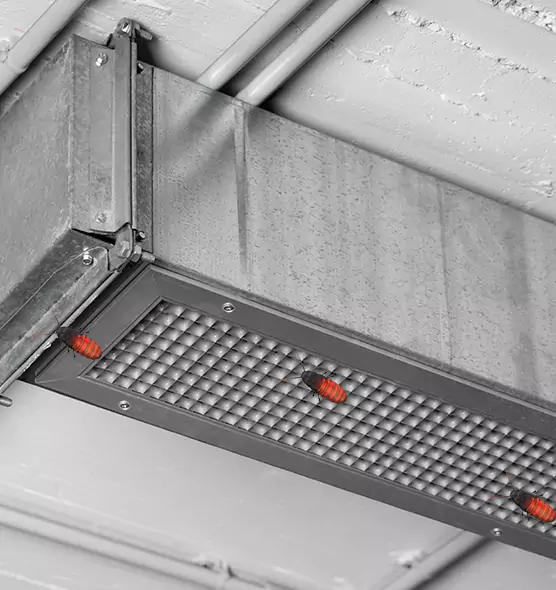 Affordable Insect Removal from Air Ducts in Hope Mills, NC