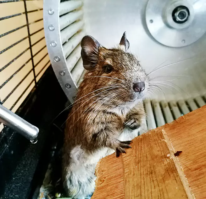 Why Homeowners & Businesses Trust Us Hope Mills, NC